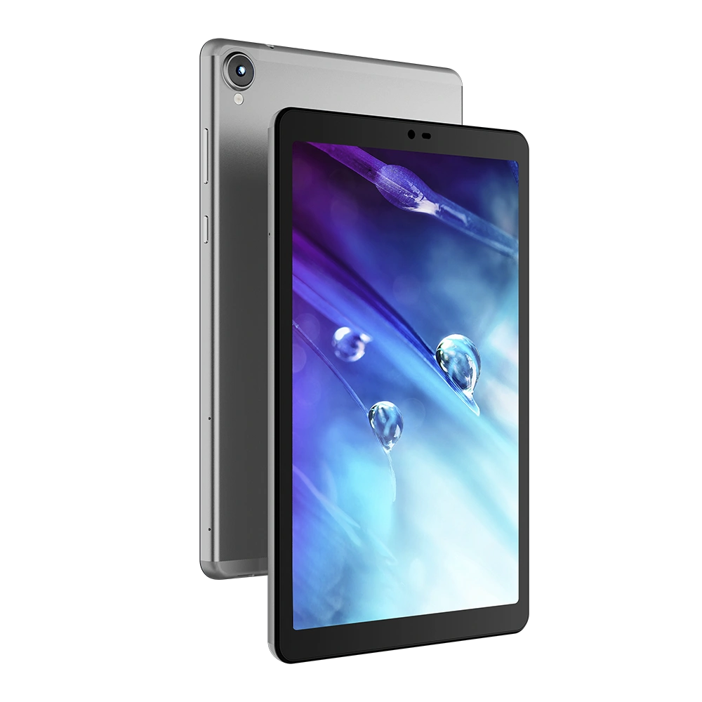 Free tablet from government program